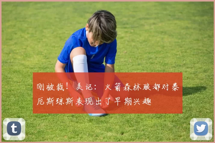 刚被裁！美记：火箭森林狼都对泰厄斯琼斯表现出了早期兴趣